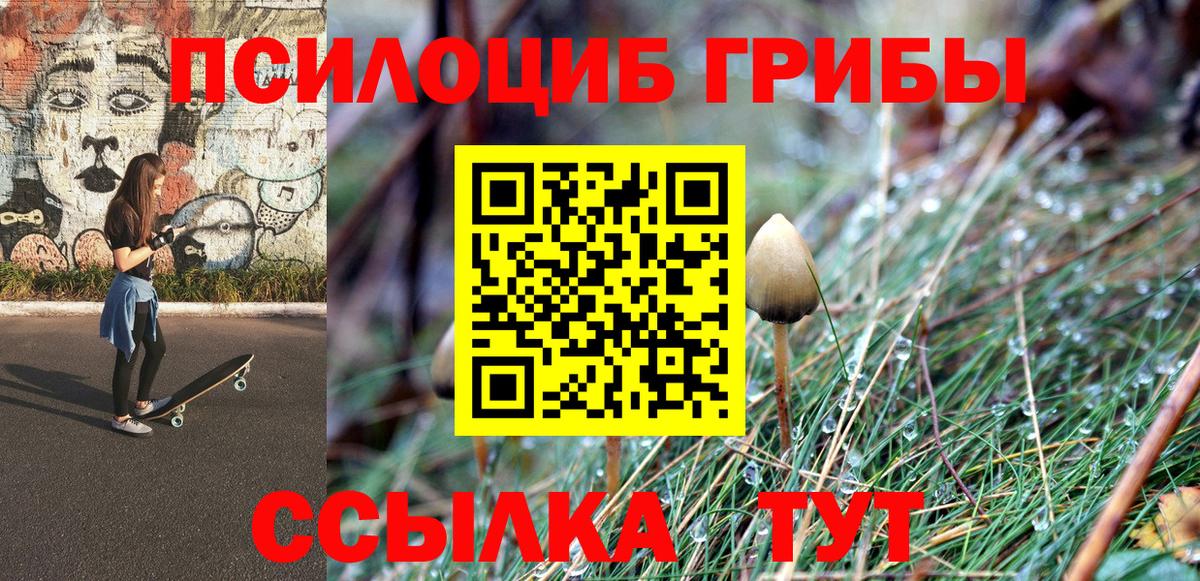 Псилоцибиновые грибы ЛСД Среднеуральск