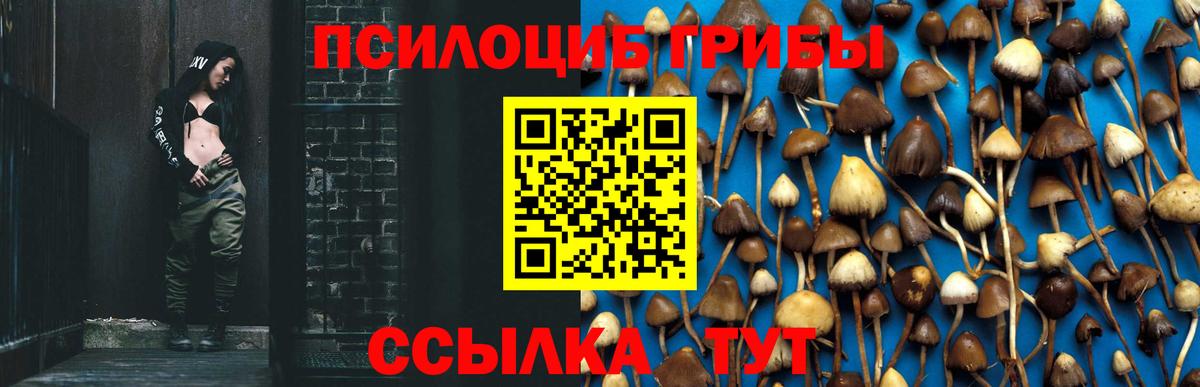 Галлюциногенные грибы Psilocybine cubensis  Вход с VPN  Среднеуральск 